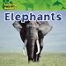 Elephants (Amazing Animals)
