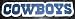 Dallas Cowboys Team Name NFL Car Magnet