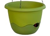 Details zu "Schumm 1808543019 Blumenampel Mareta 30 cm Durchmesser" Details zu "Schumm 1808543019 Blumenampel Mareta 30 cm Durchmesser"