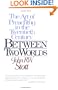 Between Two Worlds: The Challenge of Preaching Today
