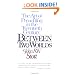 Between Two Worlds: The Challenge of Preaching Today