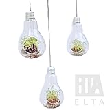 【ELTA】 北欧 インテリア 電球 型 フラワーベース 観葉植物 にも 片面 穴 ３個 セット ユニーク 雑貨
