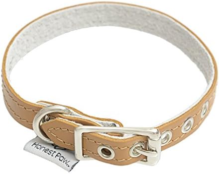 Genuine Leather Designer Dog Collar by Honest Paw - Caramel - Size 12"-14" - 1/2" Width