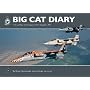 Big Cat Diary: The Last Year of the Jaguar with 6 Squadron RAF