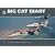 Big Cat Diary: The Last Year of the Jaguar with 6 Squadron RAF
