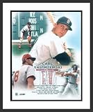 Carl Yastrzemski Boston Red Sox MLB Framed 8x10 Photograph Legends Collage