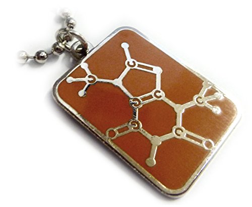 CHOCOLATE MOLECULE Chemistry Science Candy Bar Pendant Necklace w/ Chain