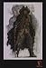 PiRaTeS oF ThE CaRiBbEan 2 : DeAd MaN's ChEsT CoMiC CoN SiNgLe SiDeD OrIgInAl MoViE PoStEr 18.5 x27