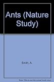 Ants