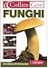 Funghi