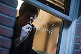 The Social Network (Two-Disc Collector's Edition)