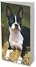 terrier31  - Boston Terriers 2010 Pocket Planner