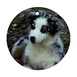 Australian Shepherd Puppy Ornament (Round)