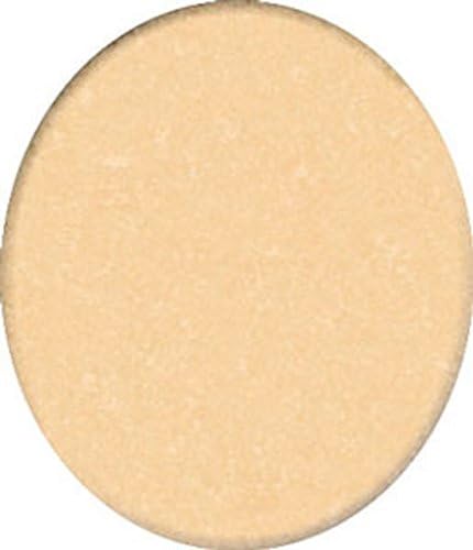 Dollhouse Beige Wall to Wall Carpeting