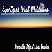 Ego/Spirit Mind Meditations