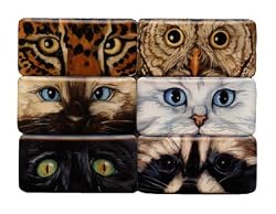 Cat Eyes Have It Mighty Magnets Set of 6