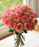 Two Dozen Long Stem Pink Roses