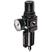 Dixon B18-04MGMB Manual Drain Wilkerson Compact Filter/Regulator with Metal Bowl and Sight Glass, 1/2" Size, 121 SCFM Flow, 250 psig Pressure