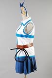 Fairy Tail Lucy Heartfilia Cosplay Costume