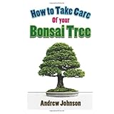 how to take care of your bonsai bonsai care for beginners