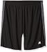 Russell Athletic Men's Big & Tall Dri-Power Side Stripe Short