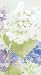 Design Design Hydrangea Mist, Guest Towel/buffet Napkin, 15-Count Packages (Pack of 3)
