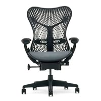 Mirra Chair - Highly Adjustable by Herman Miller