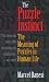 Image of The Puzzle Instinct: The Meaning of Puzzles in Human Life