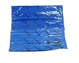 ProActive Frogg Togg Chilly Pad (Blue)