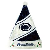 Penn State Nittany Lions HIMO Colorblock Santa Hat