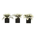 Star Succulent Faux Arrangement in Planter Set of 3