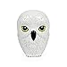 Harry Potter Hedwig The Owl Ceramic Coin Bank for Kids