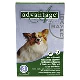 4 MONTH Advantage Green: For Dogs under 10 lbs by Advantage
