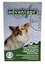 Advantage Flea Treatment Dog Green 0-10lb