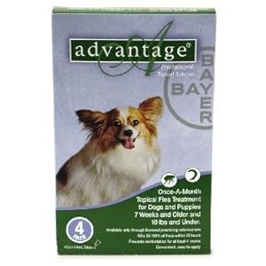 Advantage Flea Control for Dogs under 10 lbs Advantage Flea Control for Dogs under 10 lbs