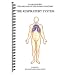 The Respiratory System