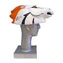Denver Broncos Foamheads Team Hat