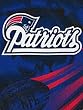 New England Patriots 60"x80" Royal Plush Raschel Throw Blanket - Football Sports Merchandise