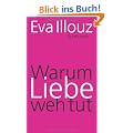 Warum Liebe weh tut: Eine soziologische Erkl�rung