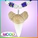 Shark Tooth Necklaces Fossil Shark Tooth Jewelry
