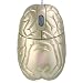 Gold Brain USB optical mouse - Fun Series