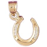 14kt Yellow Gold Horseshoe Pendant