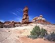 Arches National Park, Utah Photograph - Beautiful 16"x20" Photographic Print by Carol M. Highsmith