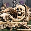 DELUXE HALLOWEEN BAG OF SKELETON BONES - FULL 28 PIECE SET - PERFECT FOR A HALLOWEEN GRAVEYARD or HAUNTED HOUSE
