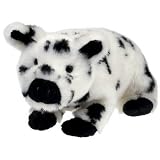 Review TY  / TY~STUBBY THE PIG BEANIE BABY