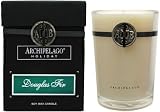 Archipelago Botanicals Holiday Candles - 2006 Collection