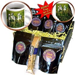 Dogs Greyhound - Greyhound - Coffee Gift Baskets - Coffee Gift Basket by Decaf Espresso Roast