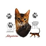 Abyssinian Cat - Cats and Dogs Premium T-Shirt