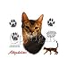   - Abyssinian Cat - Cats and Dogs Premium T-Shirt