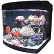 JBJ 6 Gallon Nano Cube Aquarium with (2) Nite-Vu LED Moonlights